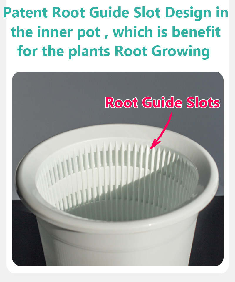Double Wall Orchid Pot Succule - Echeveria Succulent review and price